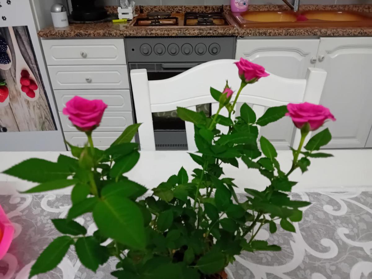 Casa Passamonte Apartment ปาแลร์โม ภายนอก รูปภาพ